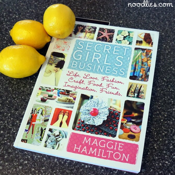 maggie hamilton secret girls business cover