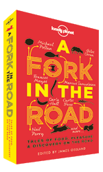 A fork in the Road lonely planet