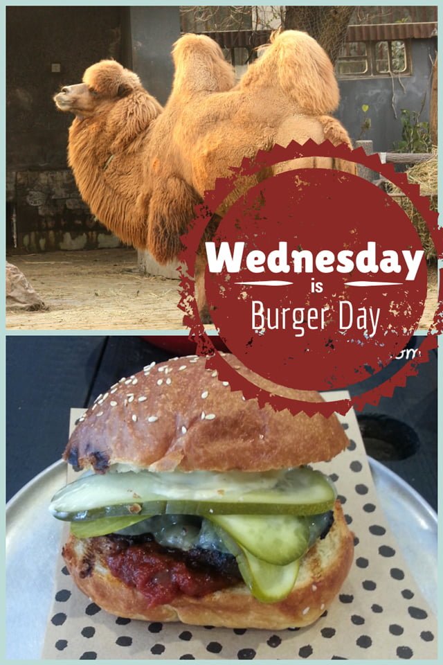 noodlies week of eats burger wednesday