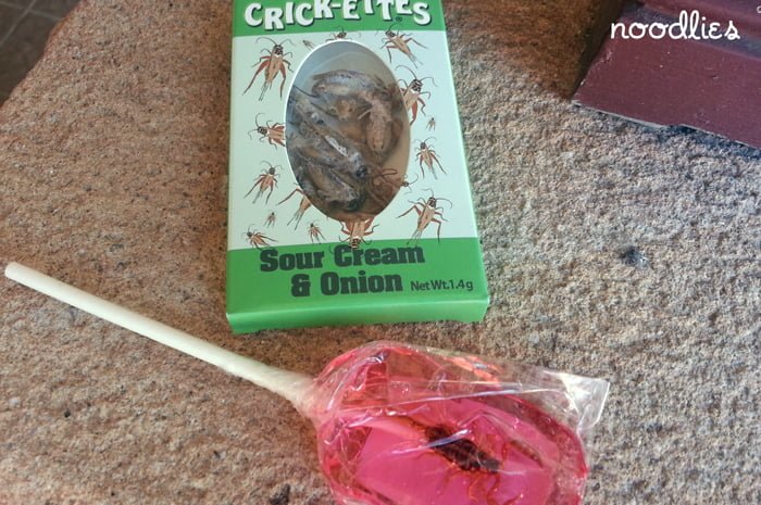 cricket and scorpion snacks
